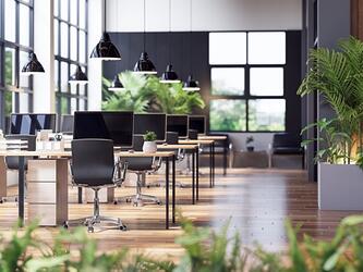 empty office with desks, chairs, computers and plants